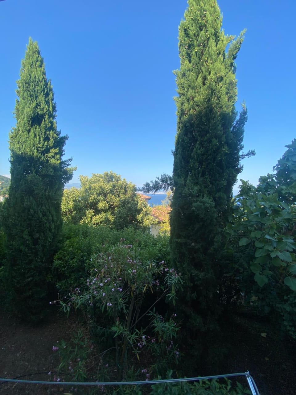 Natural landscape, Garden view