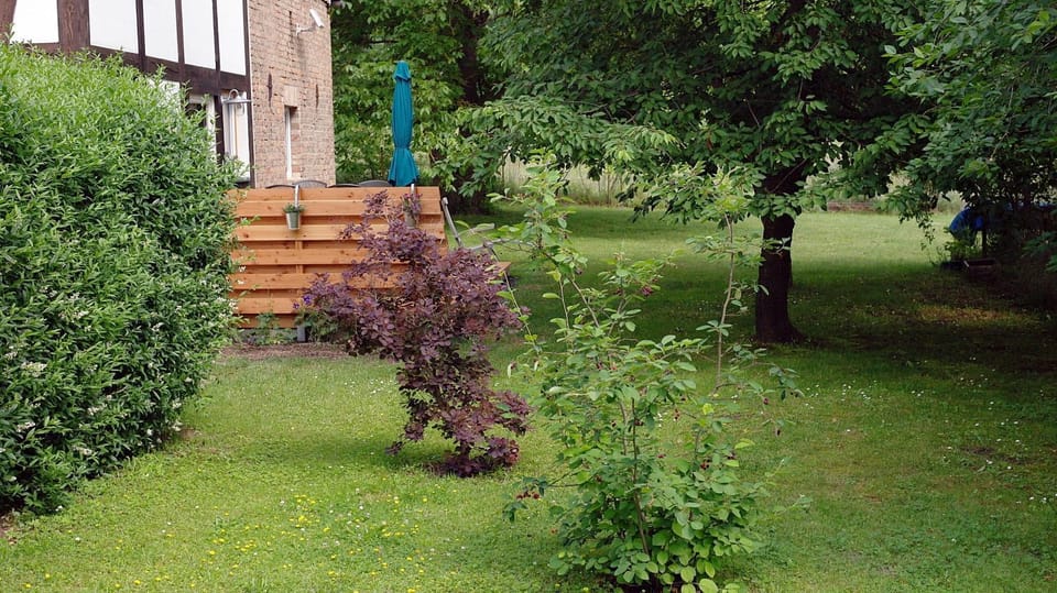 Garden, Garden view