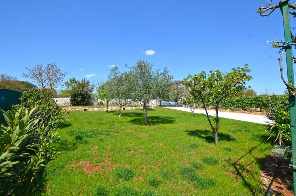 Bavica Apartments Bed and Breakfast in Rovinj