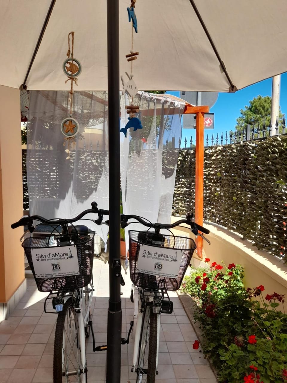 Cycling