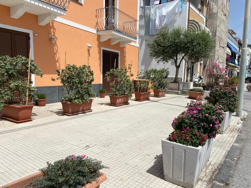 Garden view, Street view