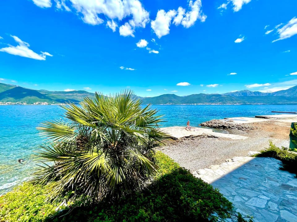 Garden, Beach, Beach