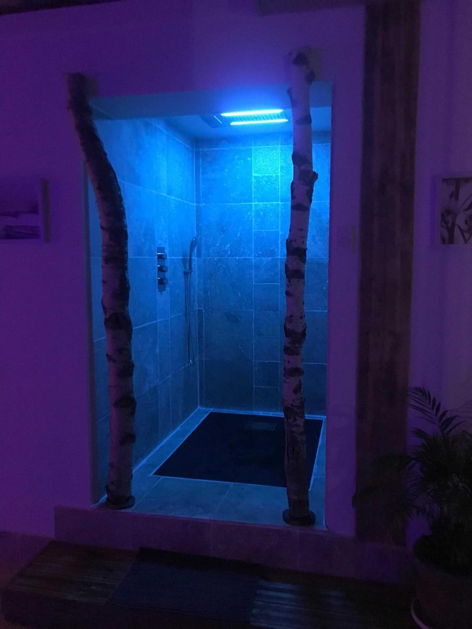 Spa and wellness centre/facilities