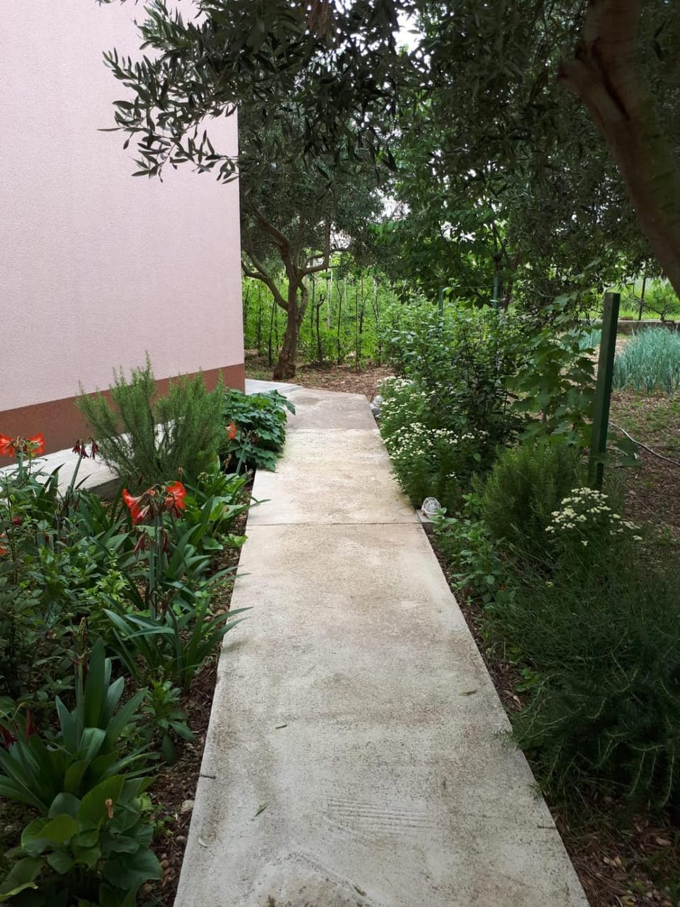 Garden, Garden view