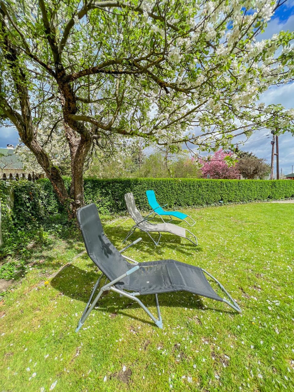 Natural landscape, Garden, Garden view, sunbed