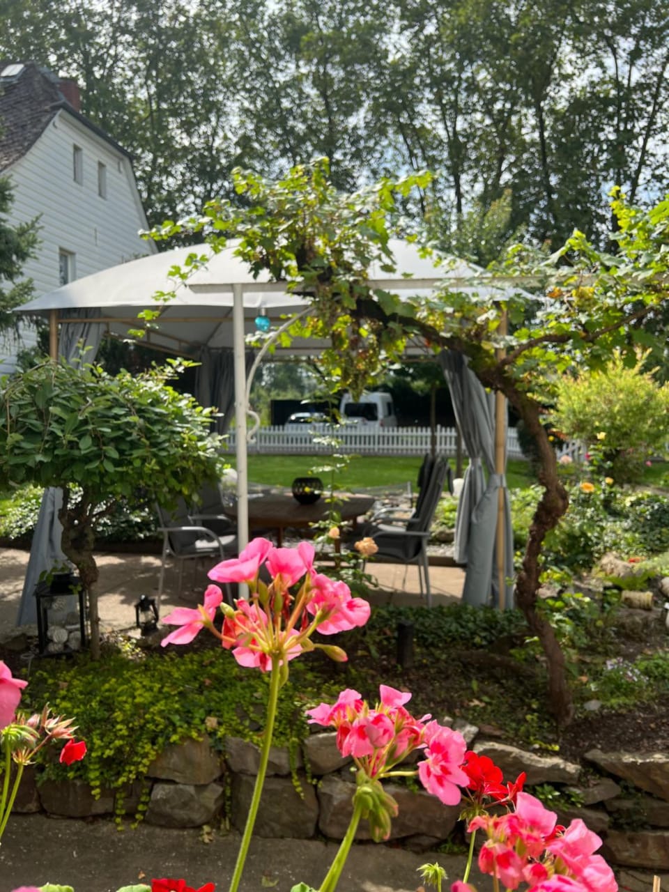 Garden view
