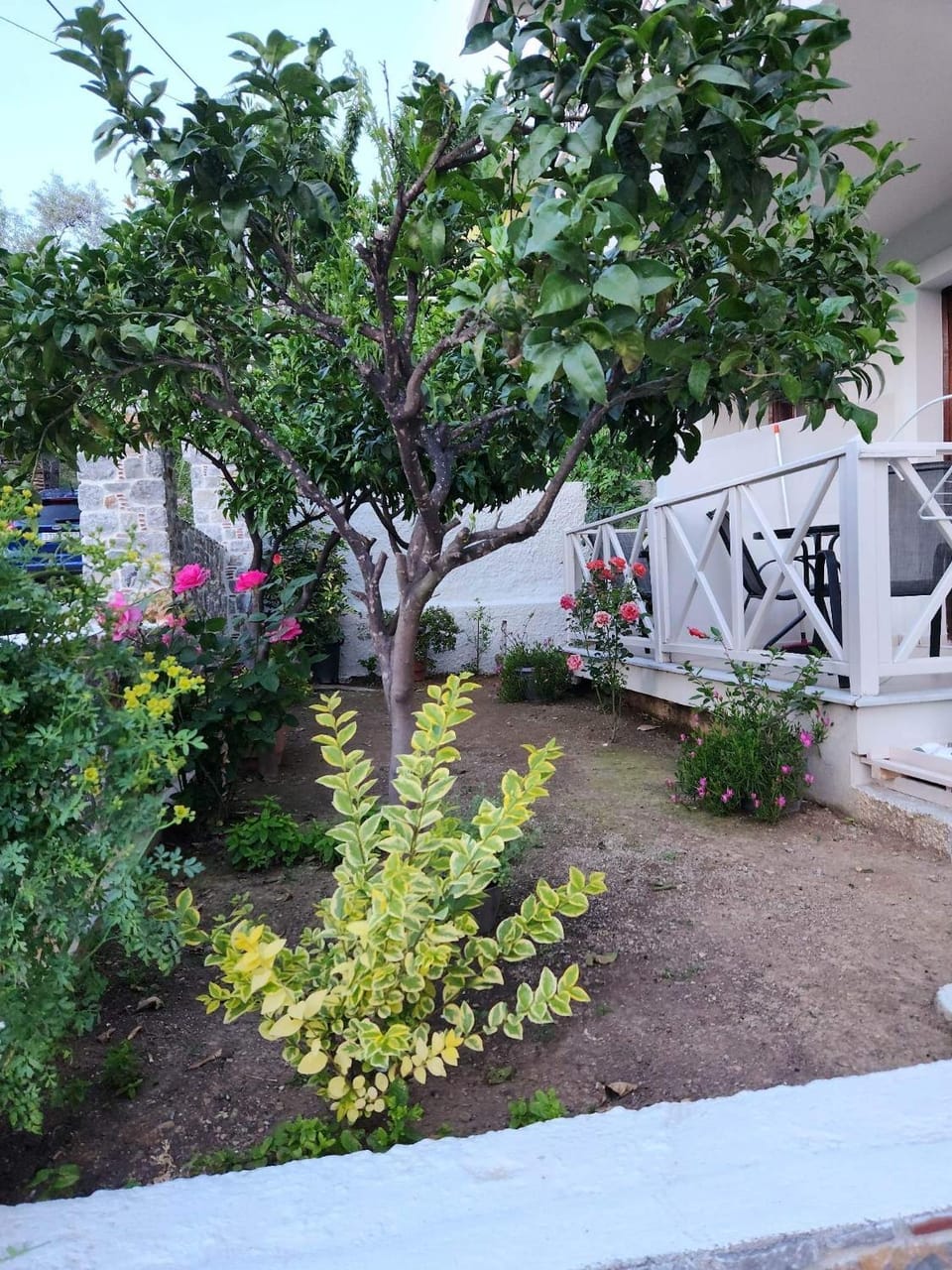 Garden, Garden view