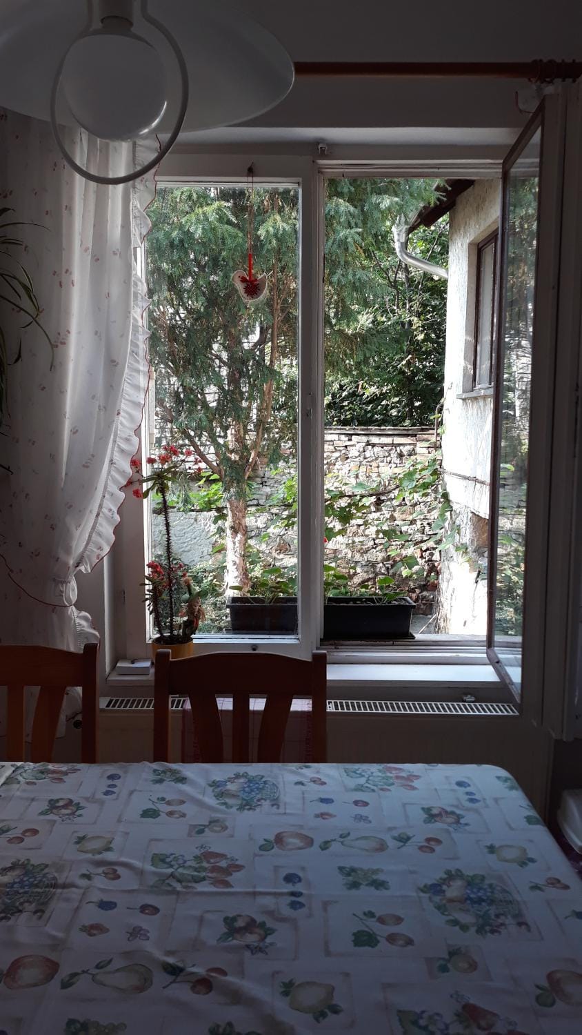 Dining area, kitchen