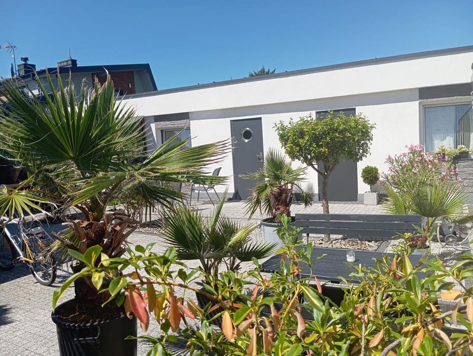 Property building, Garden view