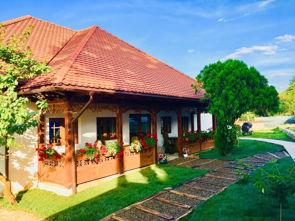 Conacul Grigorescu Bed and Breakfast in Romania