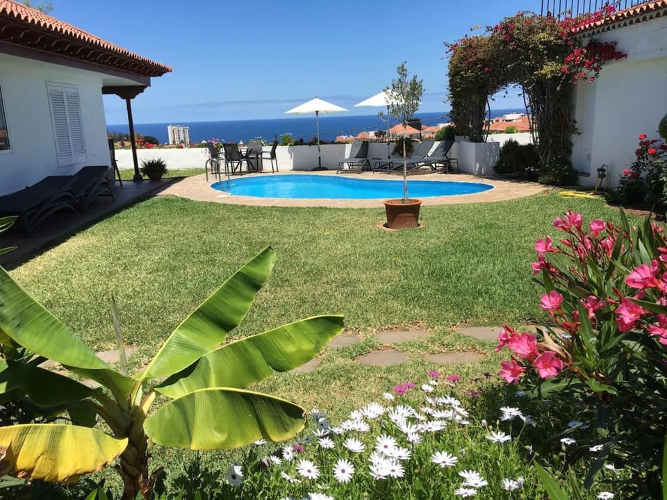 Natural landscape, Garden, Garden view, Pool view, Swimming pool, sunbed