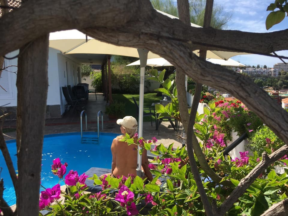 Patio, Pool view, Swimming pool
