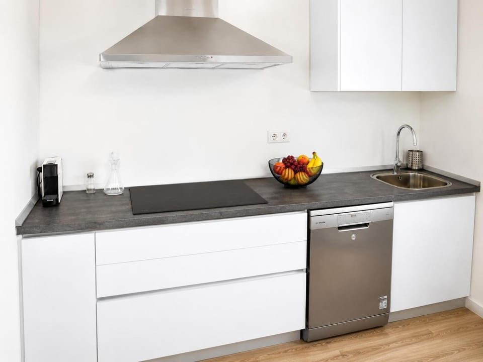 Kitchen or kitchenette, dishwasher, stove