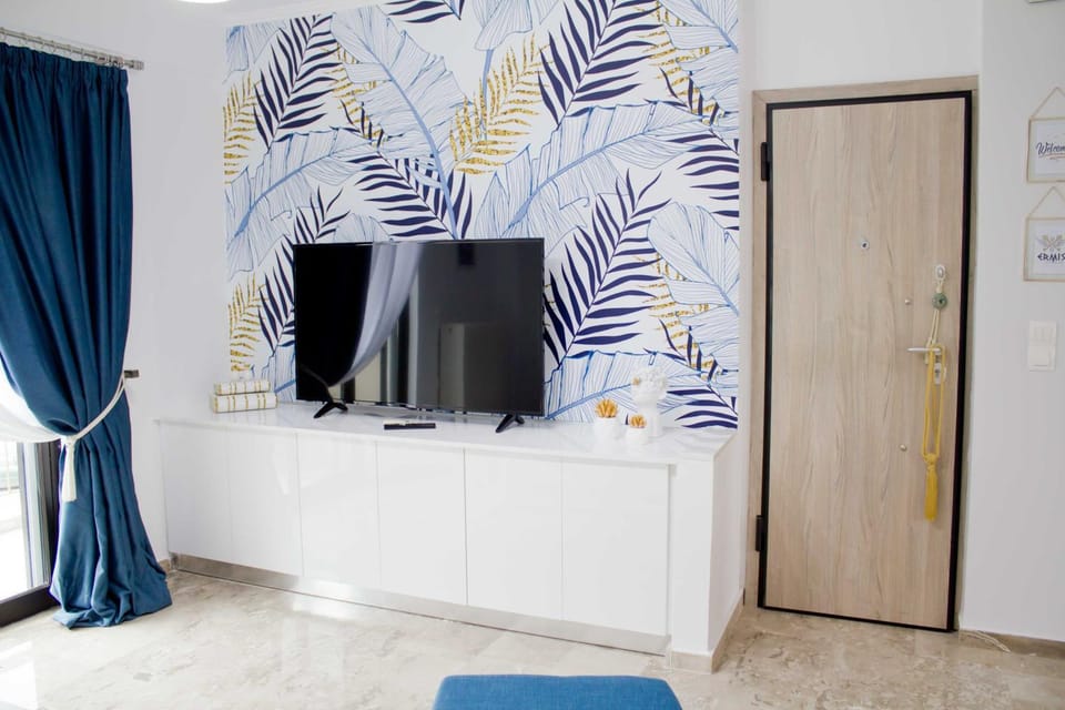 TV and multimedia