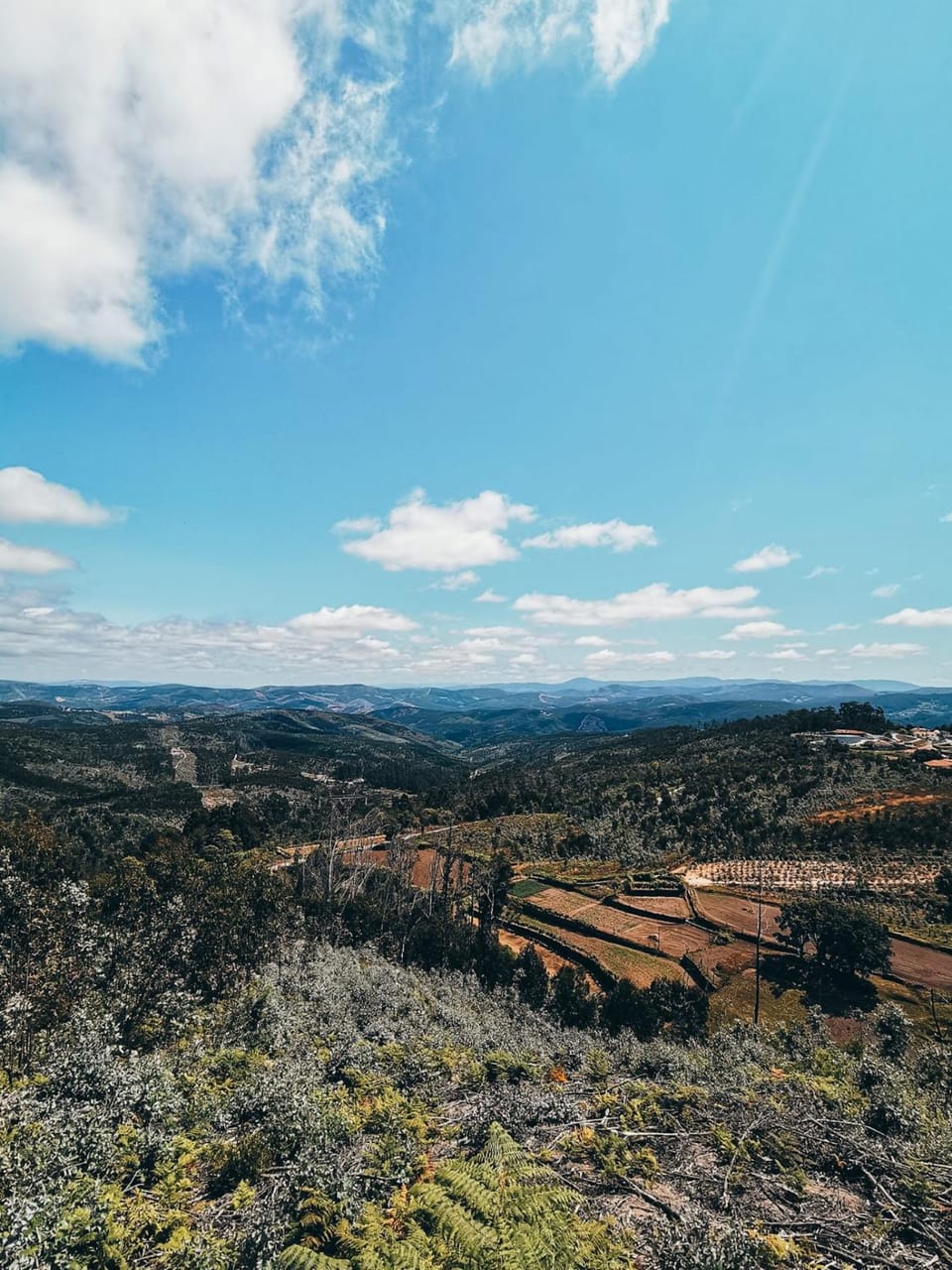 Natural landscape
