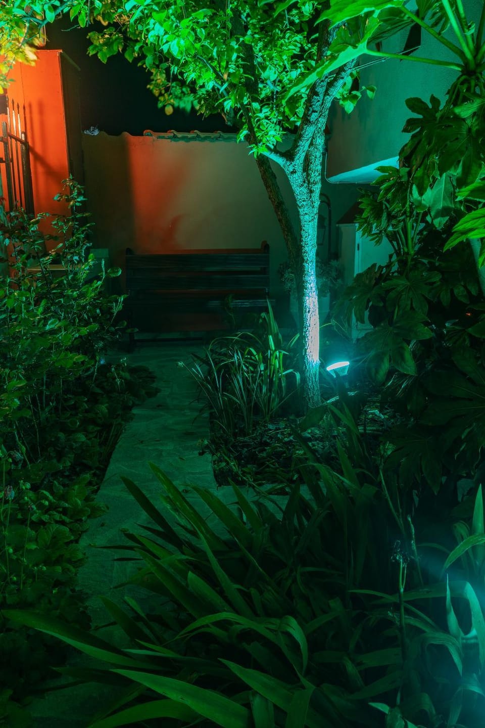 Night, Garden