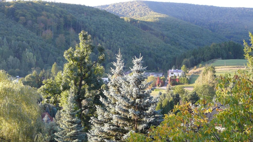 Mountain view