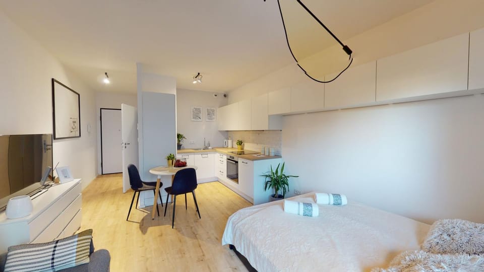 Bed, Kitchen or kitchenette, Living room, Photo of the whole room, Dining area, Bedroom