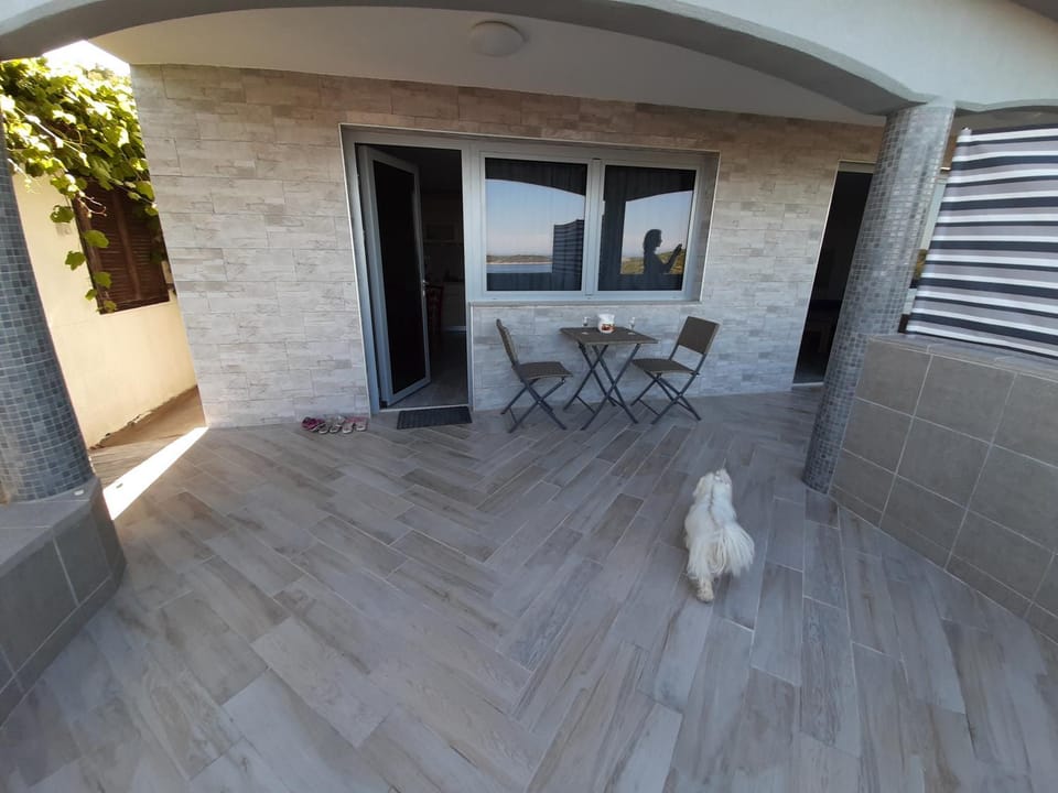 Patio, Facade/entrance, Pets