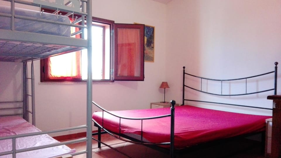 Bed, Photo of the whole room, Bedroom, bunk bed