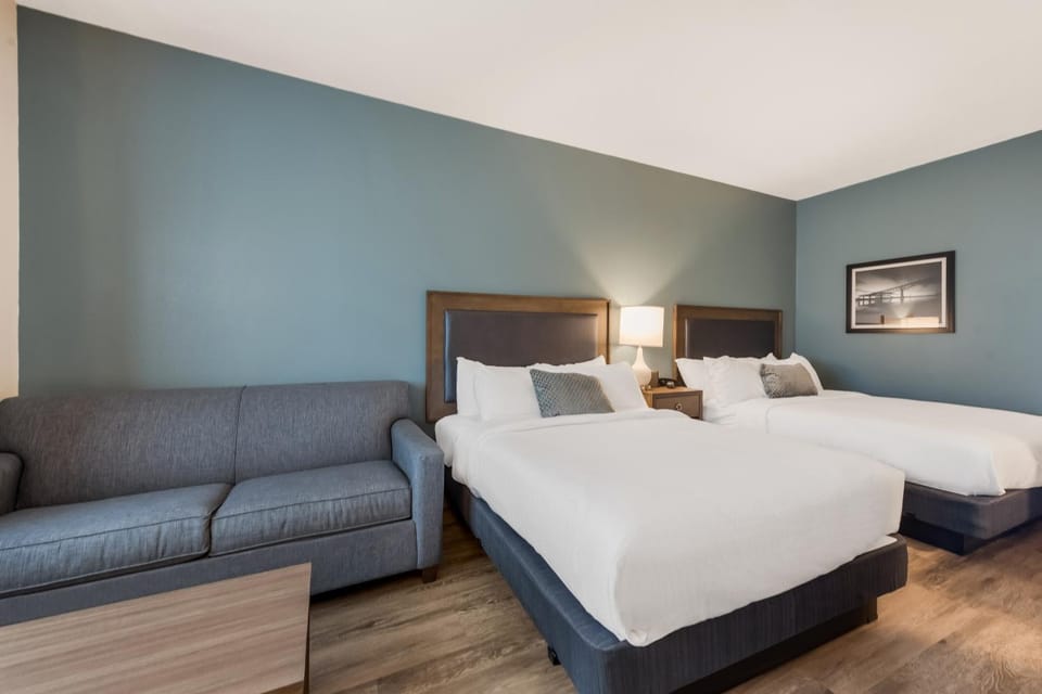 Bed, Photo of the whole room, Seating area, Bedroom