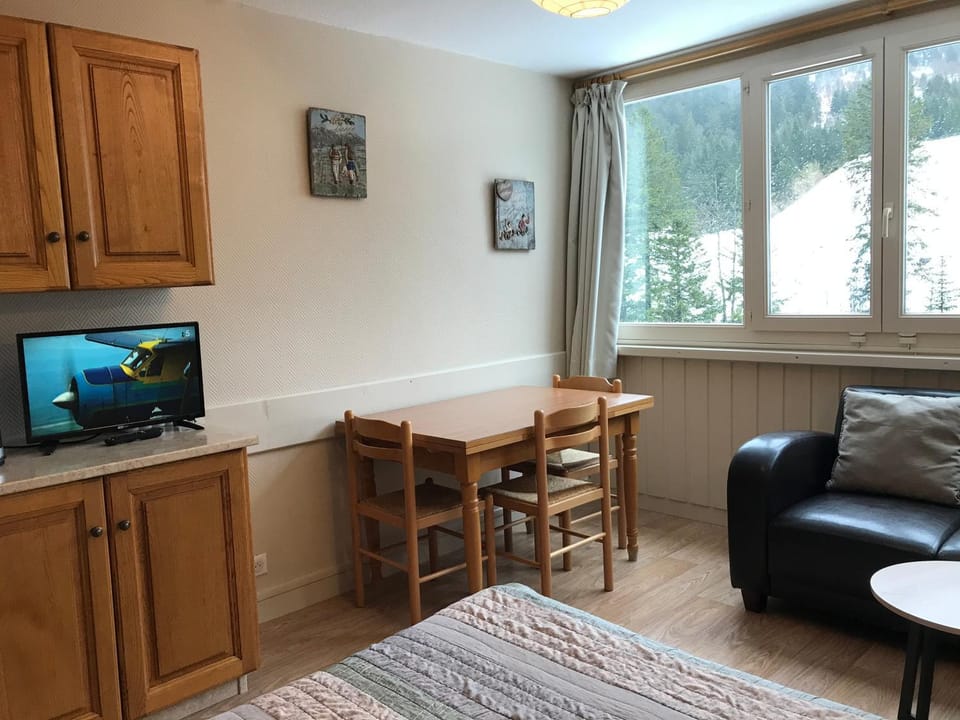 RÉSID BEC DE L AIGLE Studio 22 - LE LIORAN Apartment in Auvergne-Rhône-Alpes