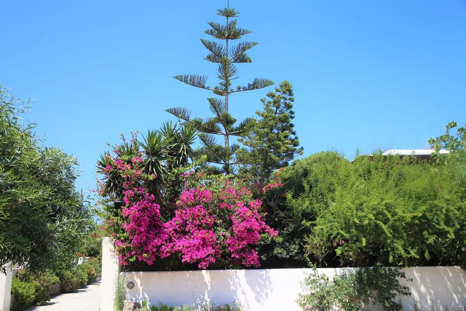 Pension Ioanna Apartment in Milos