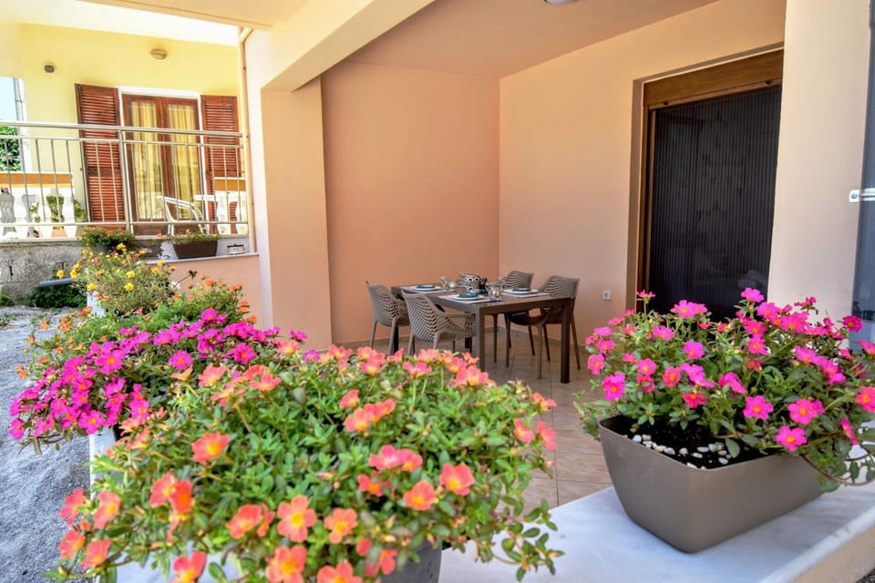 Patio, Balcony/Terrace, Dining area