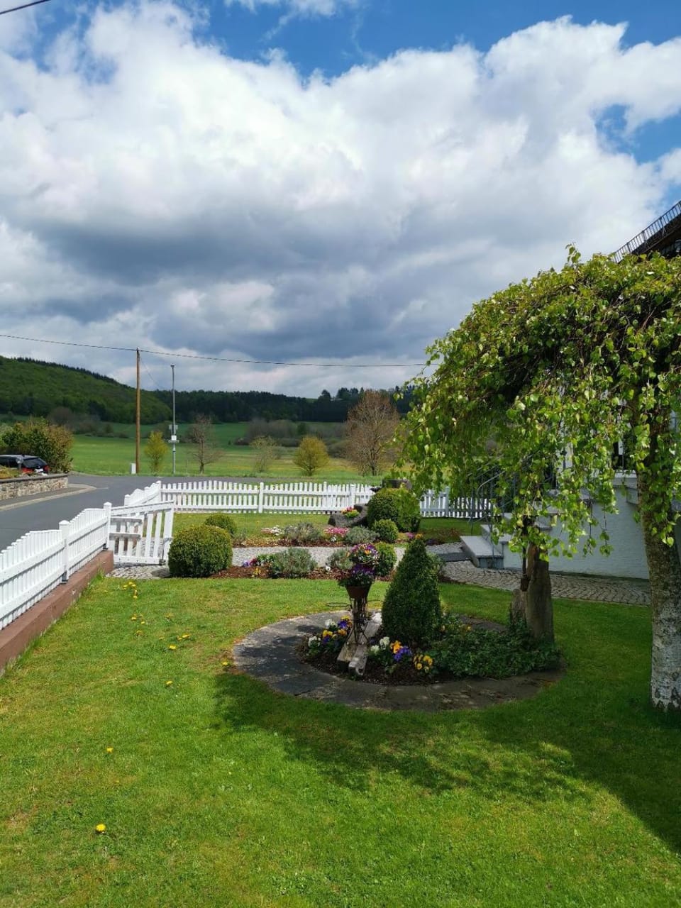 Garden view