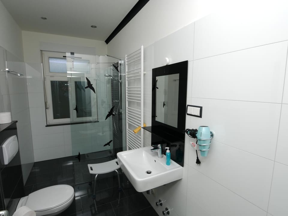 Shower, Toilet, Bathroom