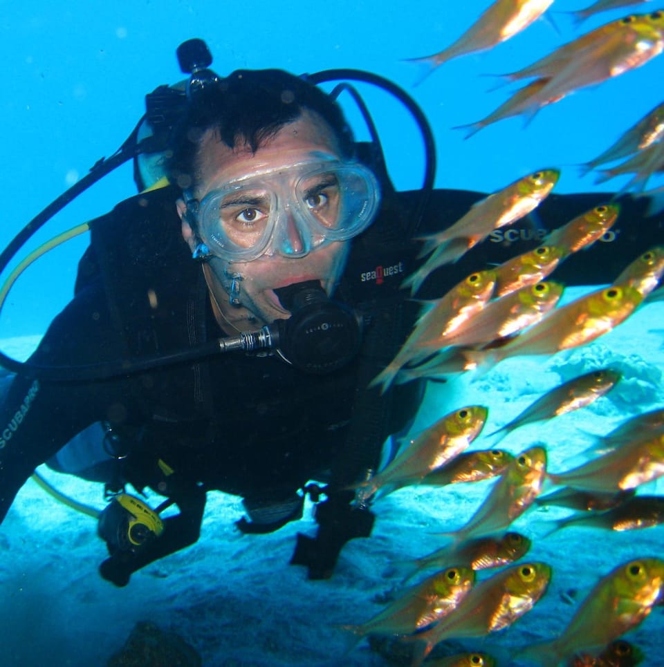 Activities, Diving, Diving