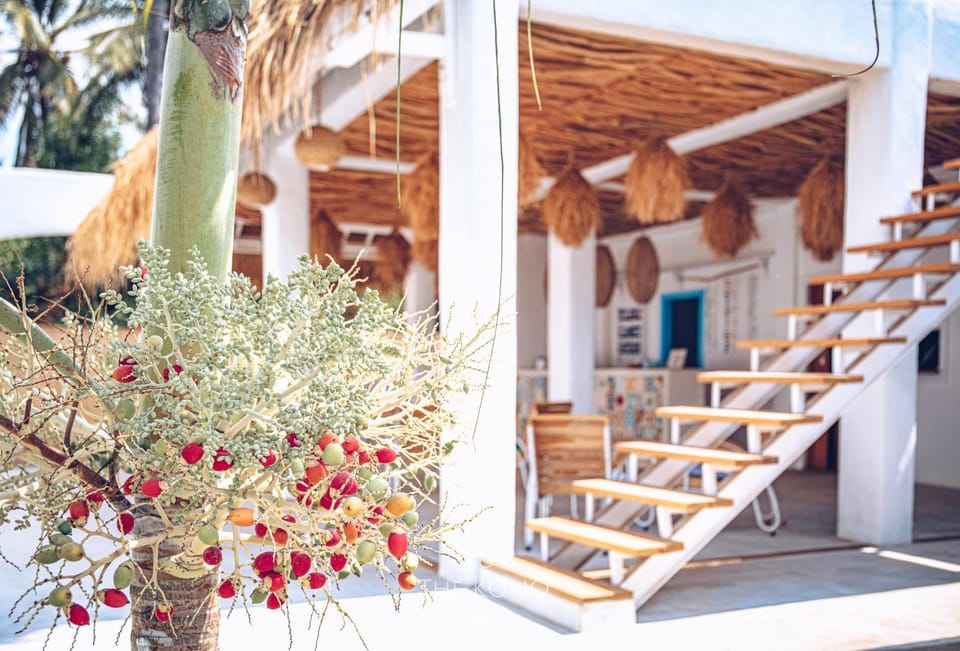 Balcony/Terrace, Lobby or reception