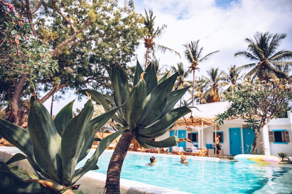 Day, People, Garden, Garden view, Pool view, Swimming pool, Swimming pool