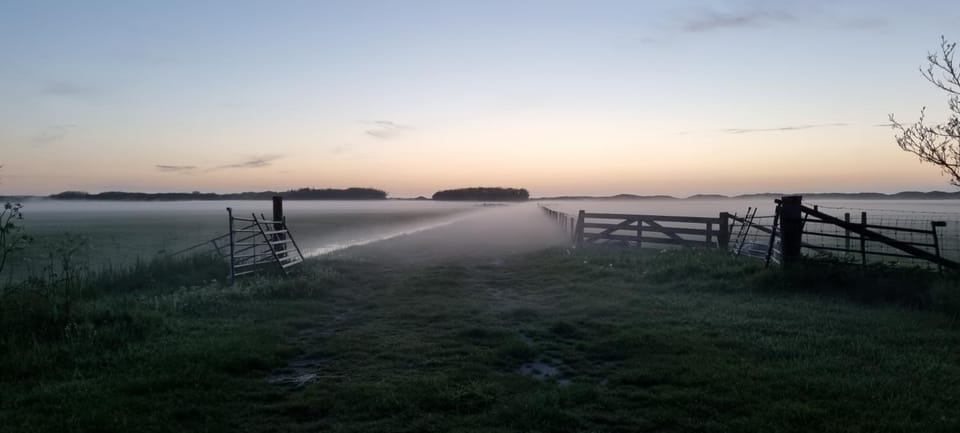 Hunsingo Texel Bed and Breakfast in De Cocksdorp