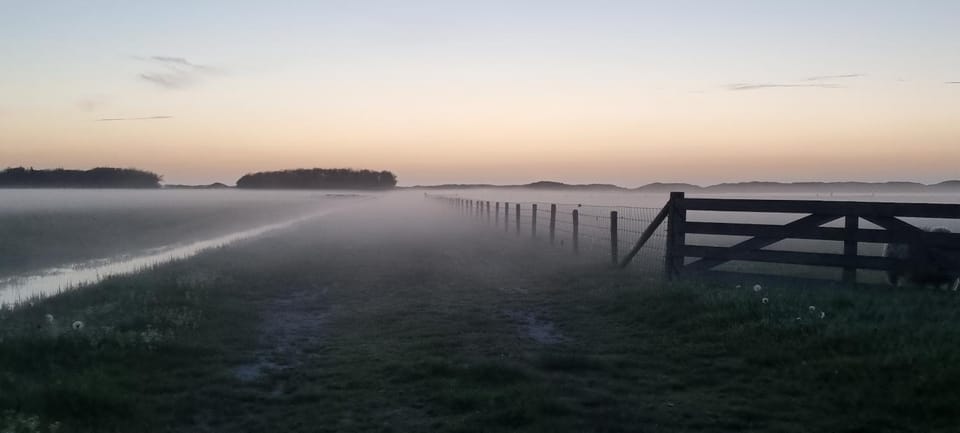 Hunsingo Texel Bed and Breakfast in De Cocksdorp