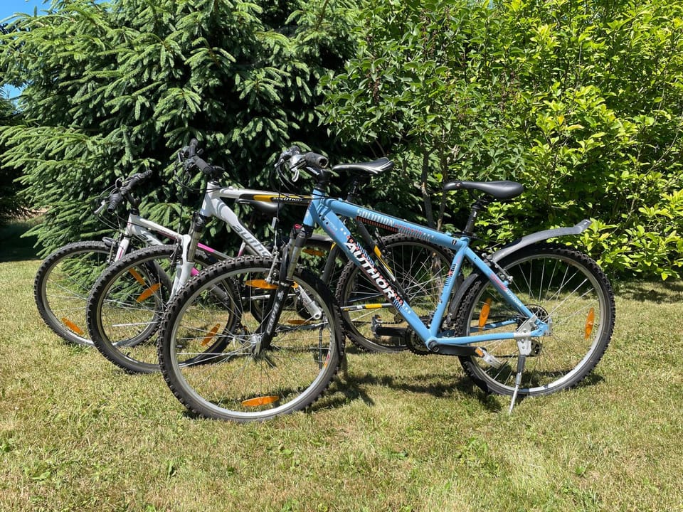 Day, Cycling