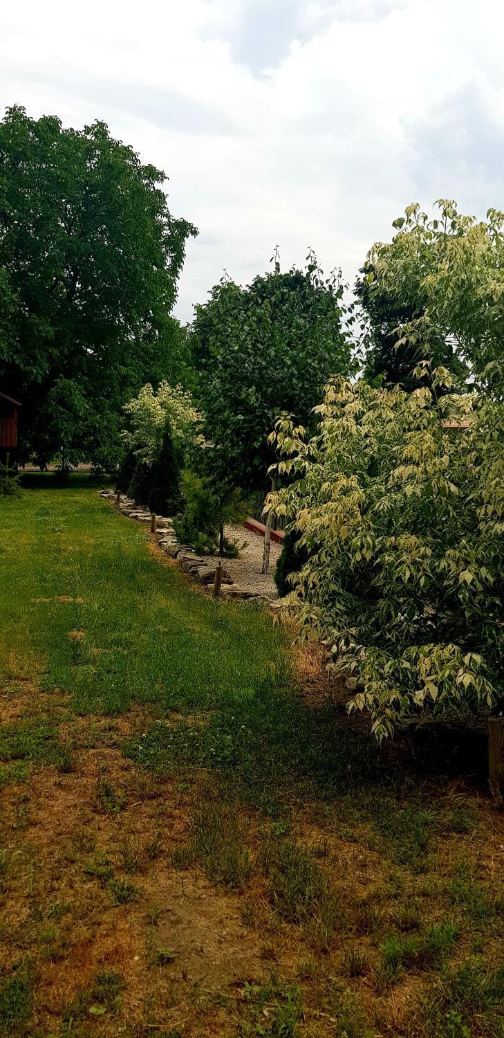 Siedlisko Vincent Farm Stay in Poland