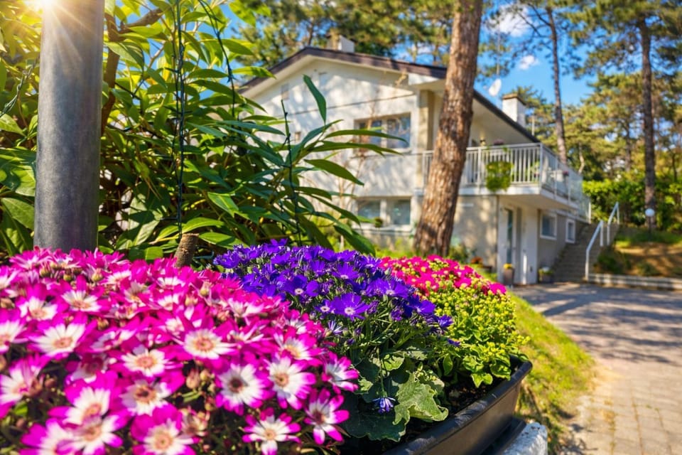 Decorative detail, Garden view