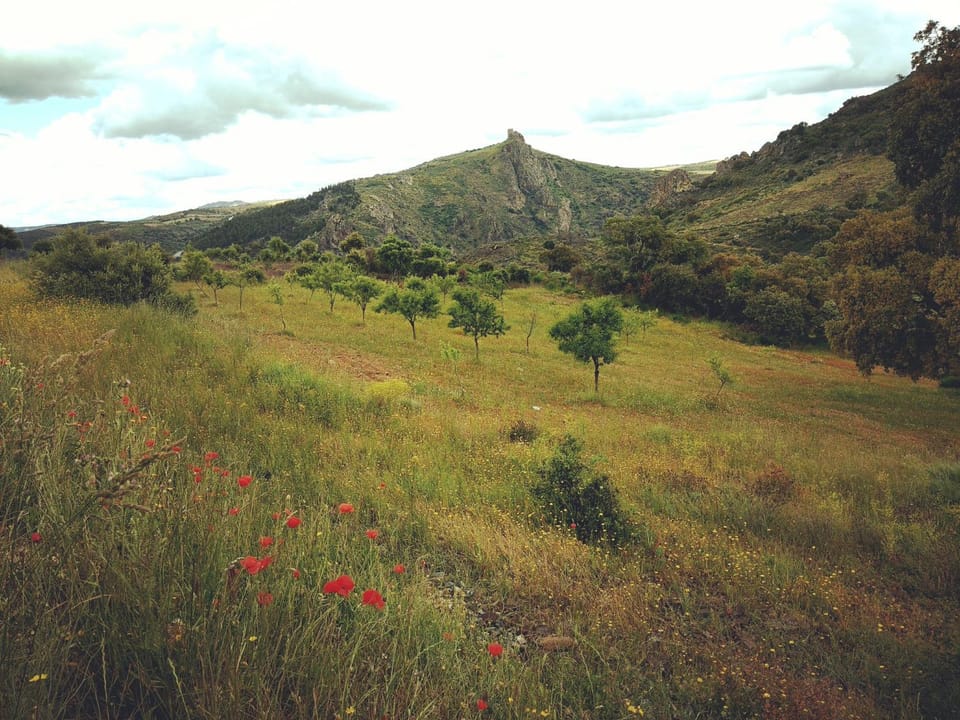 Spring, Day, Natural landscape, View (from property/room), Hiking, Mountain view