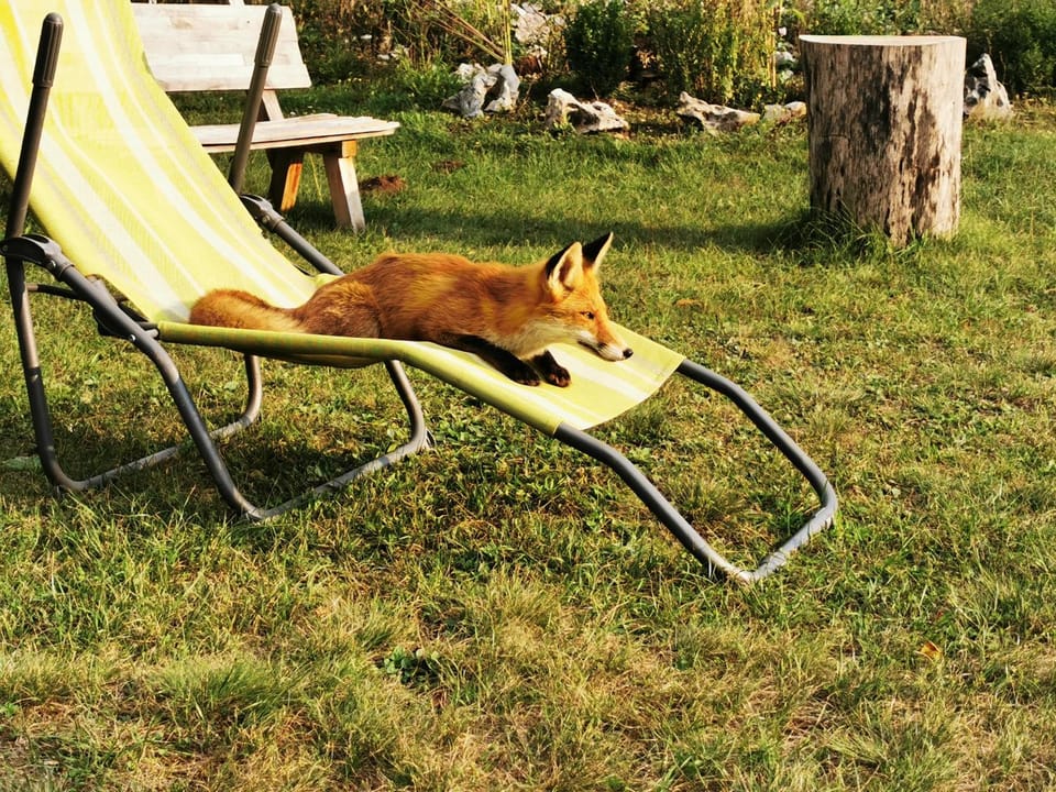Natural landscape, Animals, Pets, Area and facilities