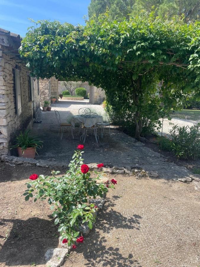Garden view, Inner courtyard view