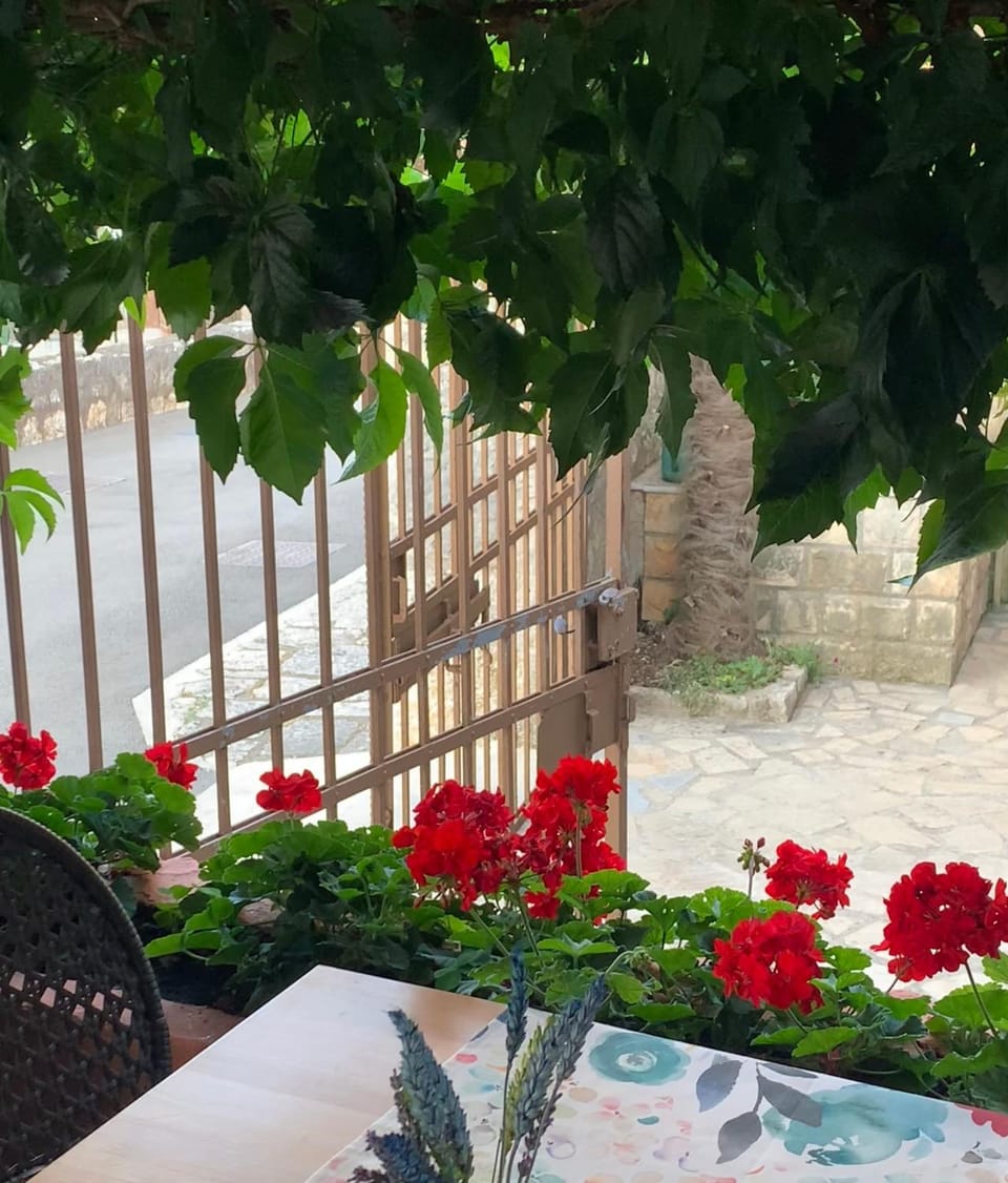 FUNTANA-MIA ROOMS B&B Bed and Breakfast in Istria County