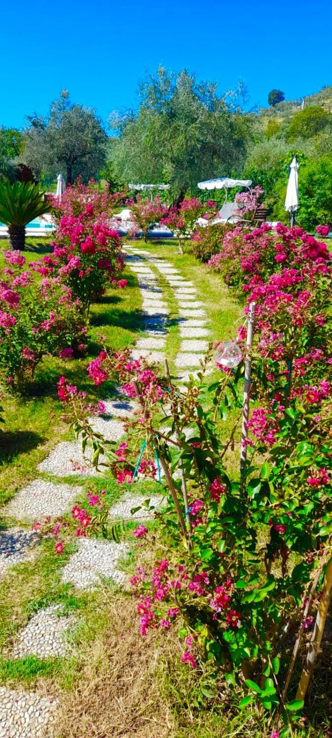 Tenuta del Casale del Jazz - Jazz Emotional Experience - Rooms & Camping in the Countryside Vacation rental in Lazio