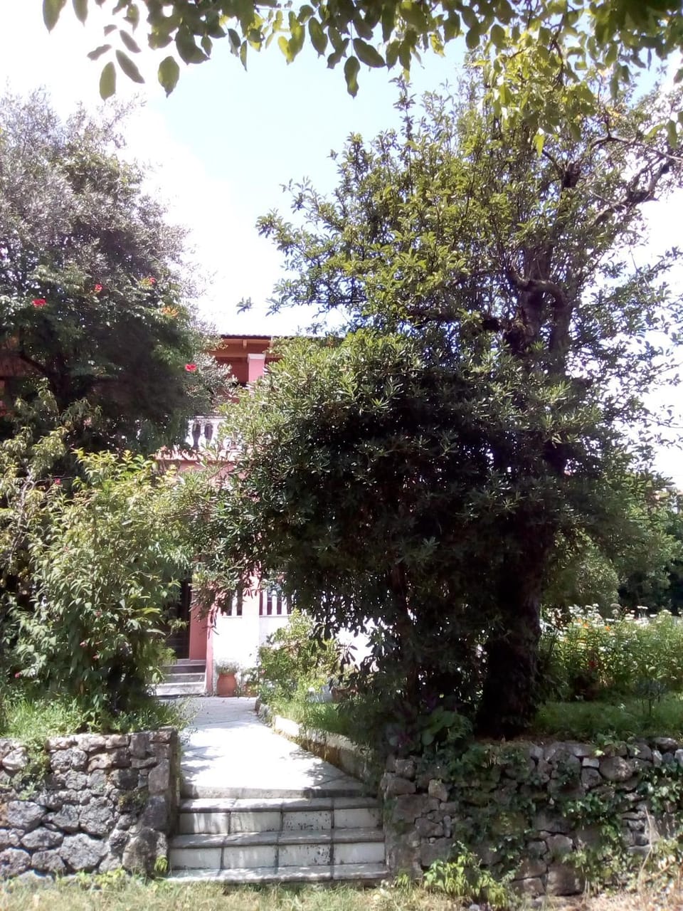 Facade/entrance, Garden