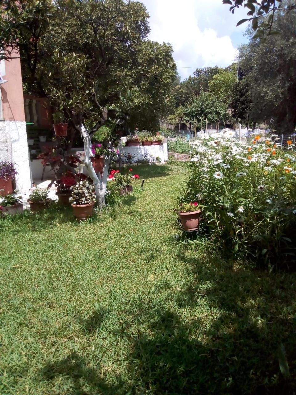 Garden, Garden view