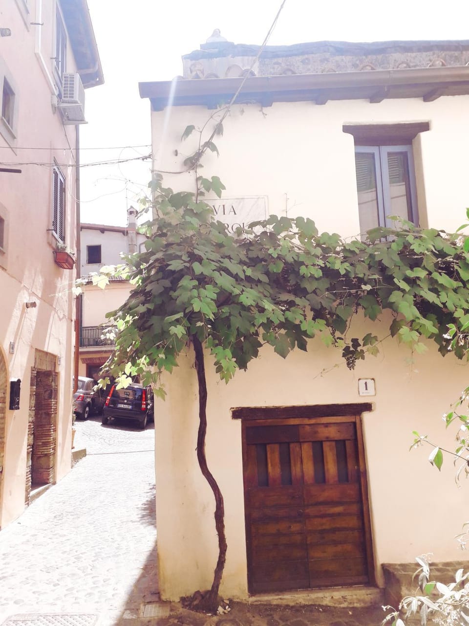 La Casa di Livia Apartment in Trevignano Romano