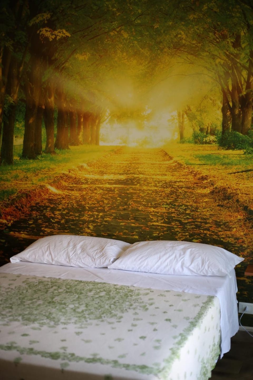 LA CASA DELL'ORSO Bed and Breakfast in Rome
