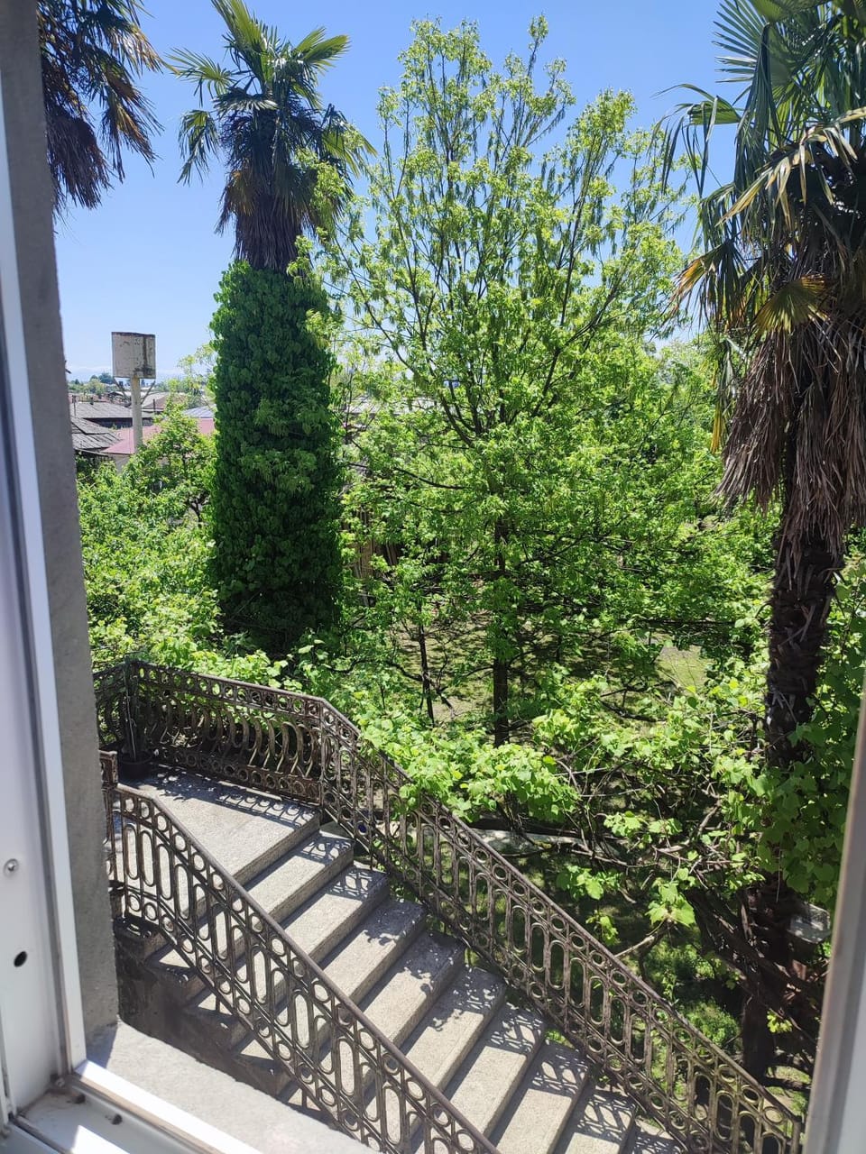Spring, Day, Garden, View (from property/room), Garden view