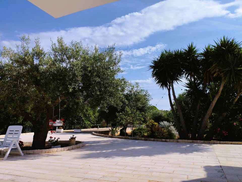 Spring, Day, Natural landscape, Summer, Garden, Garden view, Garden view, sunbed
