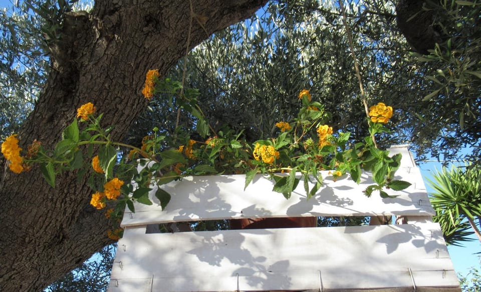 Spring, Day, Summer